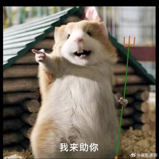 卿鸾