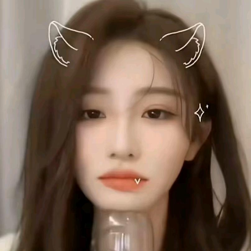 虎鼠猫