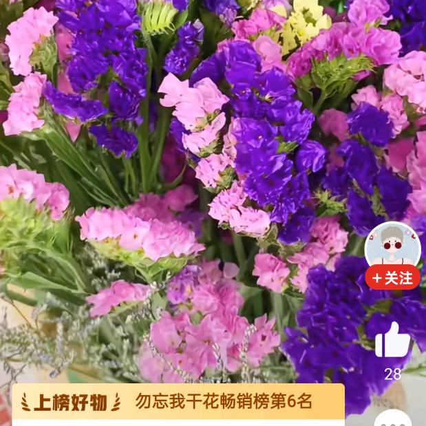 真心每天