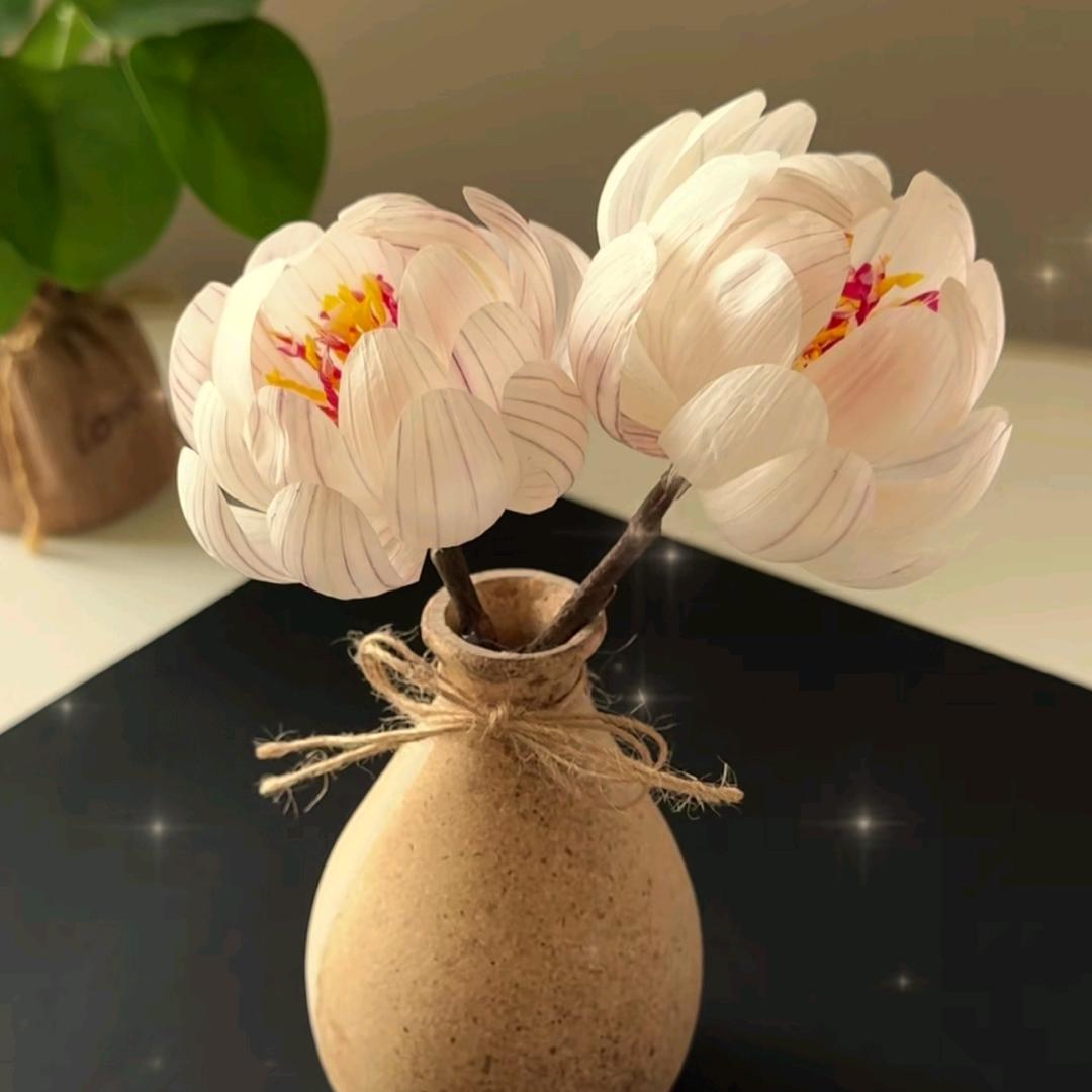 大武口百川房产格格