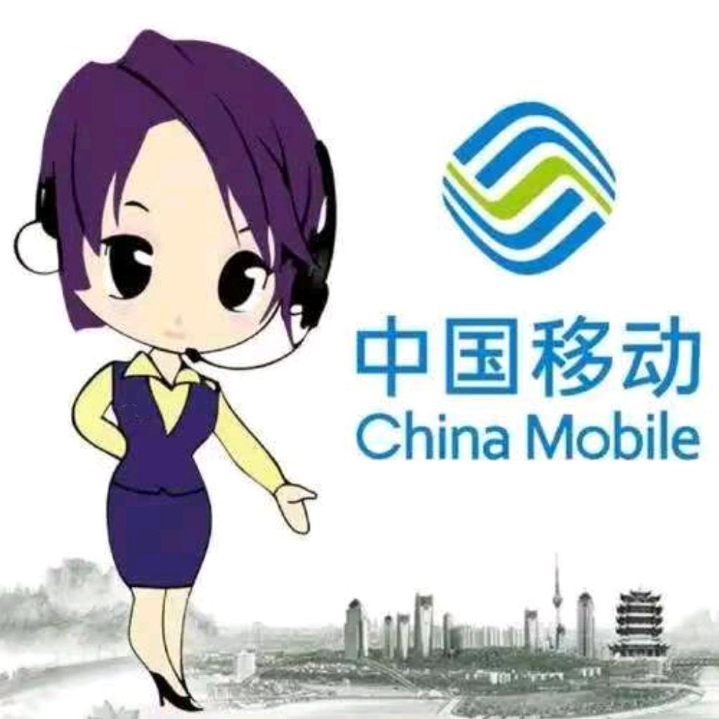 山西电子科技学院（移动客服小姐姐）