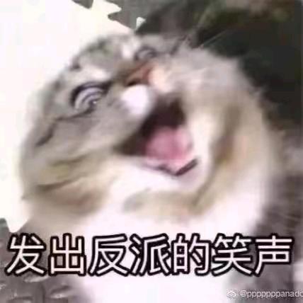 梁梁