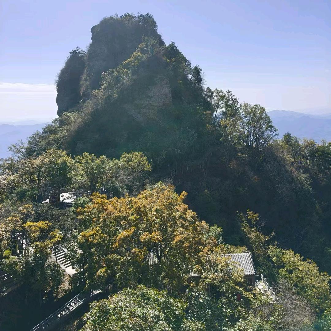 沐锦