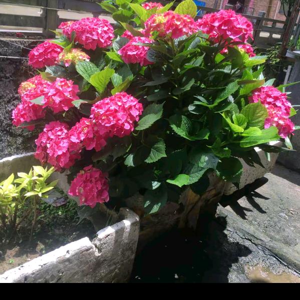 活的开心每一天