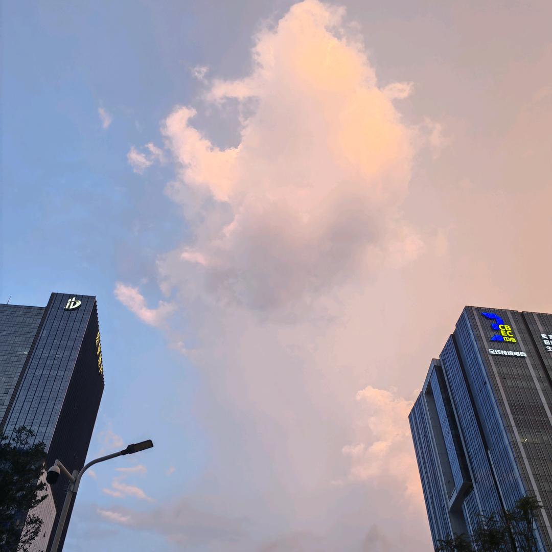 陈苏打(学习版)