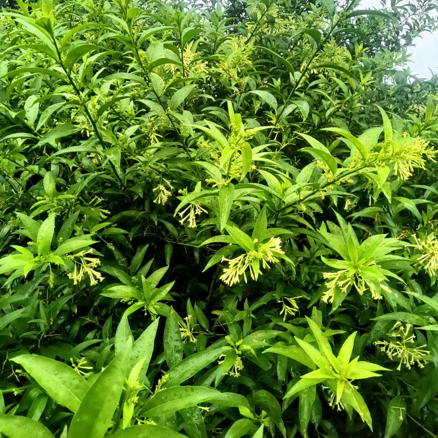 人间半途