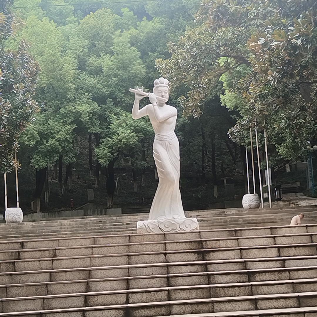 不看过往