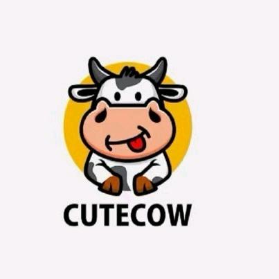 清晰（邢小牛炒酸奶）