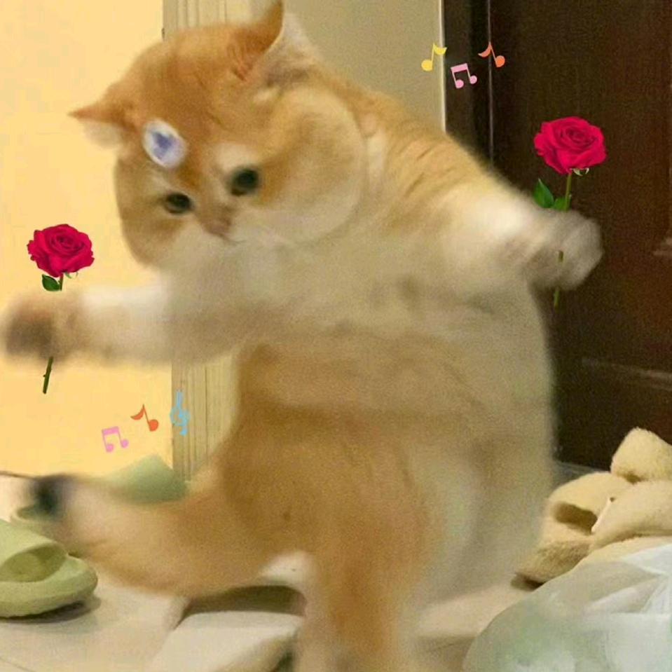 萤火虫大人
