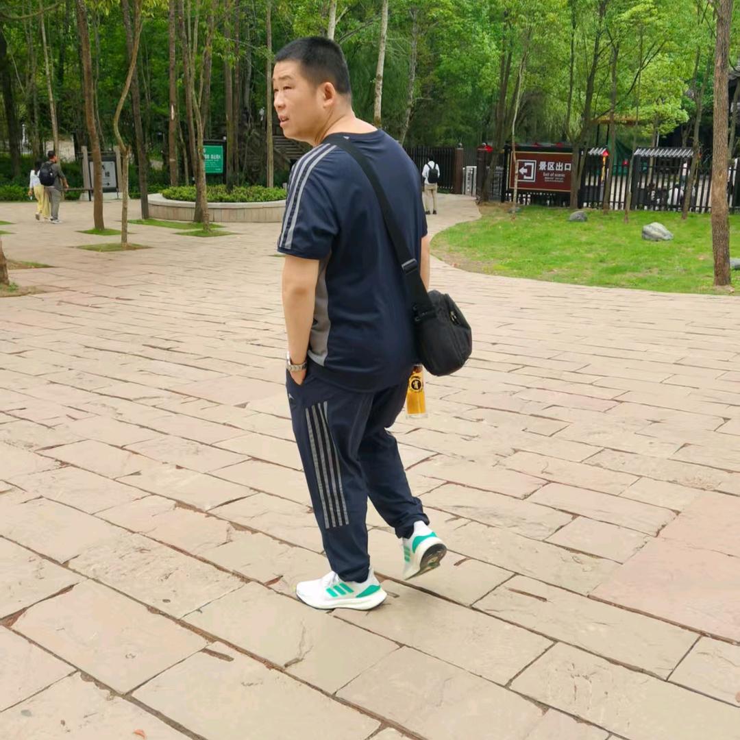 飞龙在天
