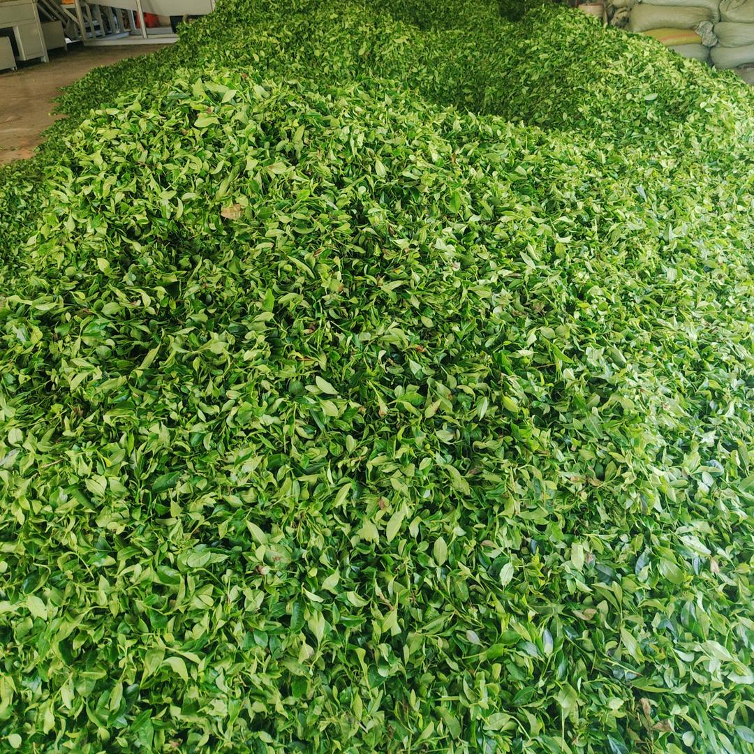 紫穆迷茫