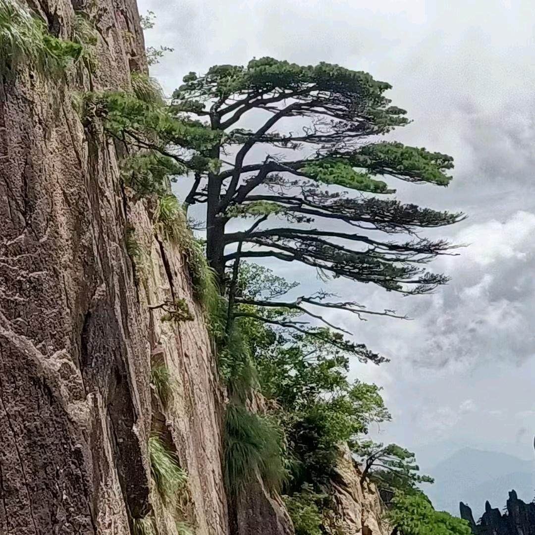 笑看风云