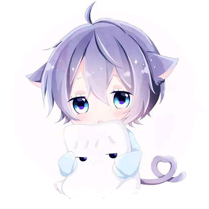 会游泳的猫