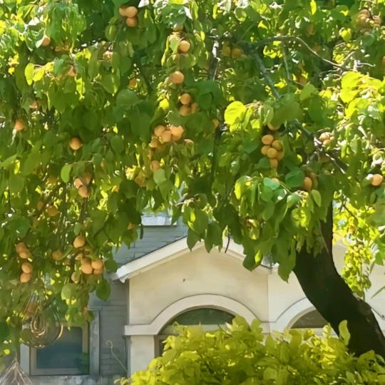 风雨过后是彩虹