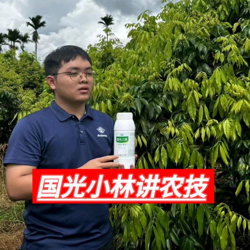 国光小林讲农技