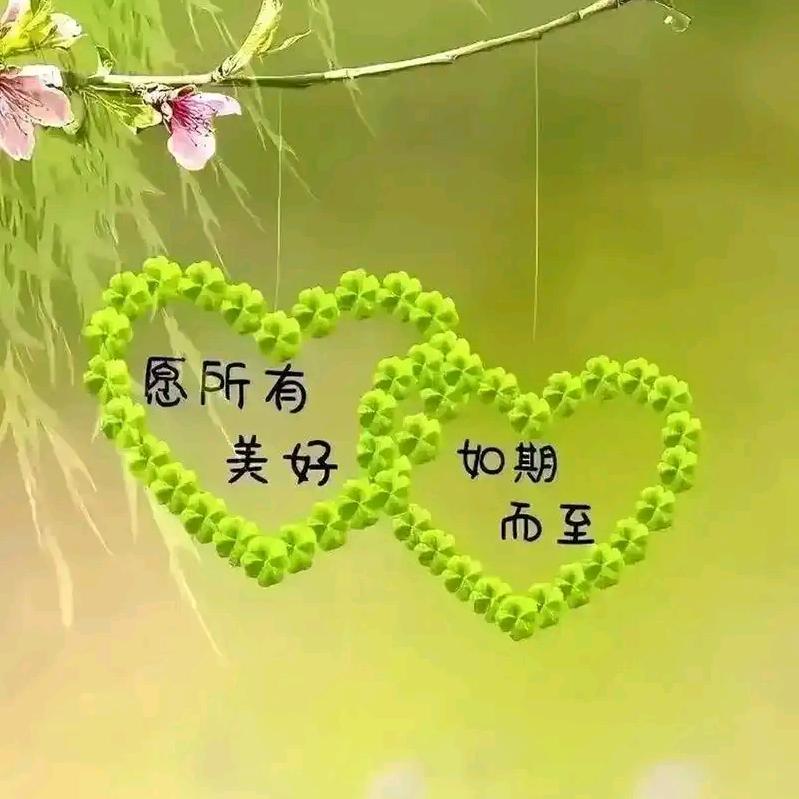 努力🐎生活