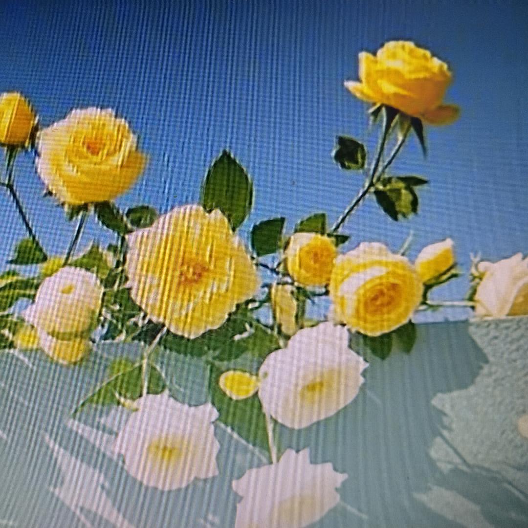 烟花三月