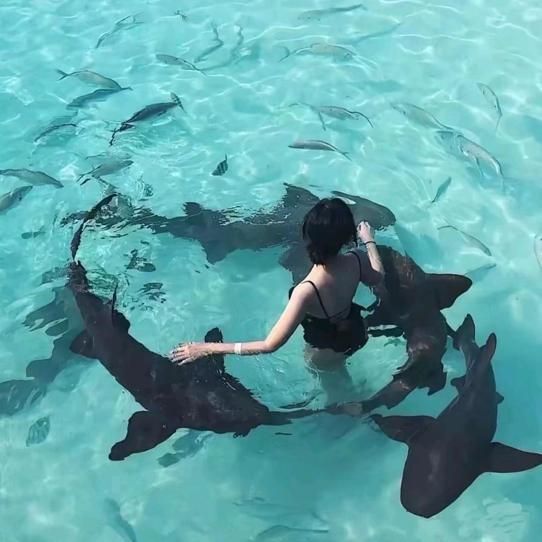 玻璃海猎人·精品海岛游