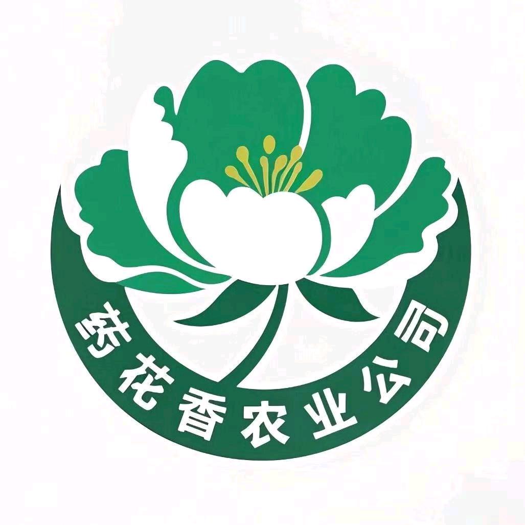 药材种植—琳子