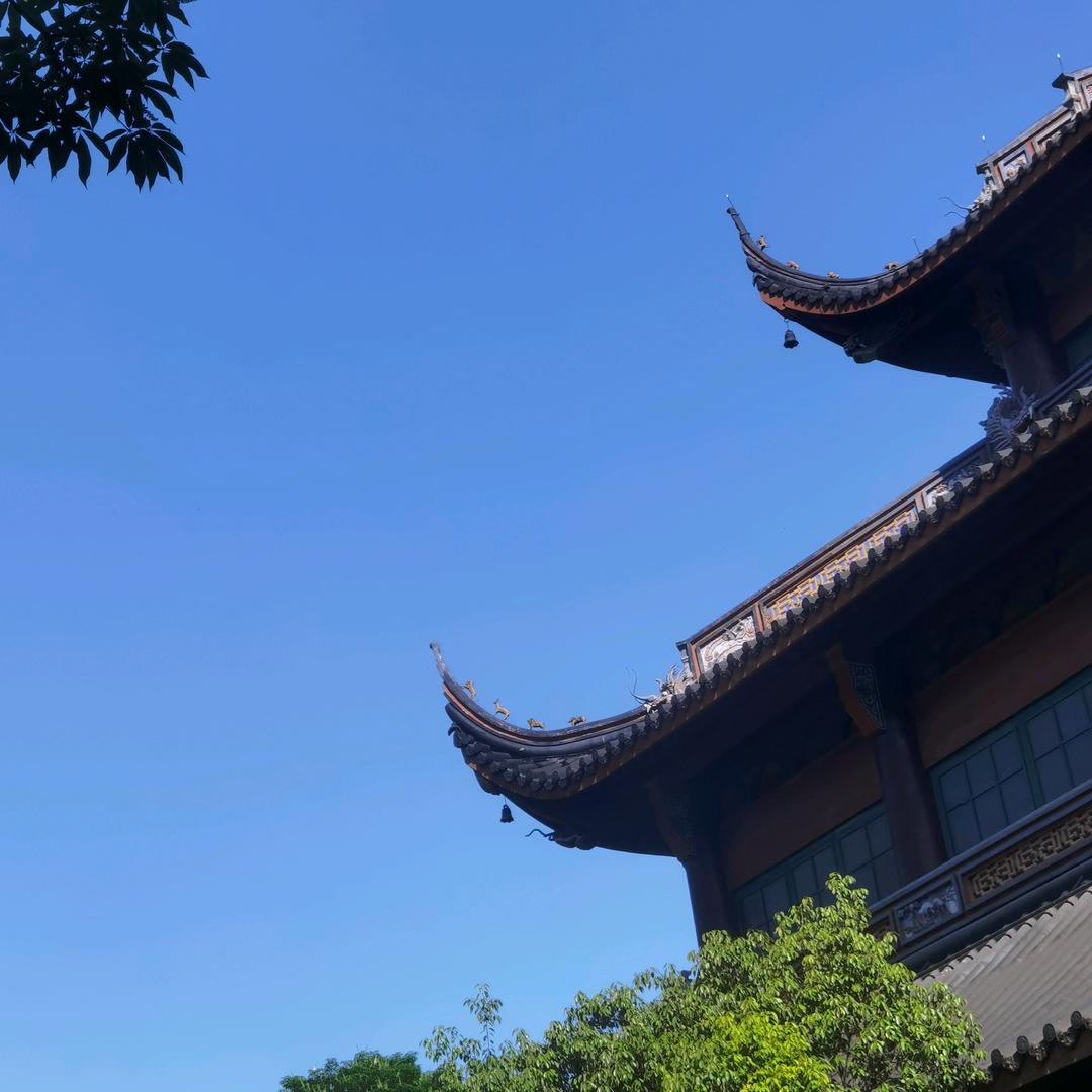 鲸落