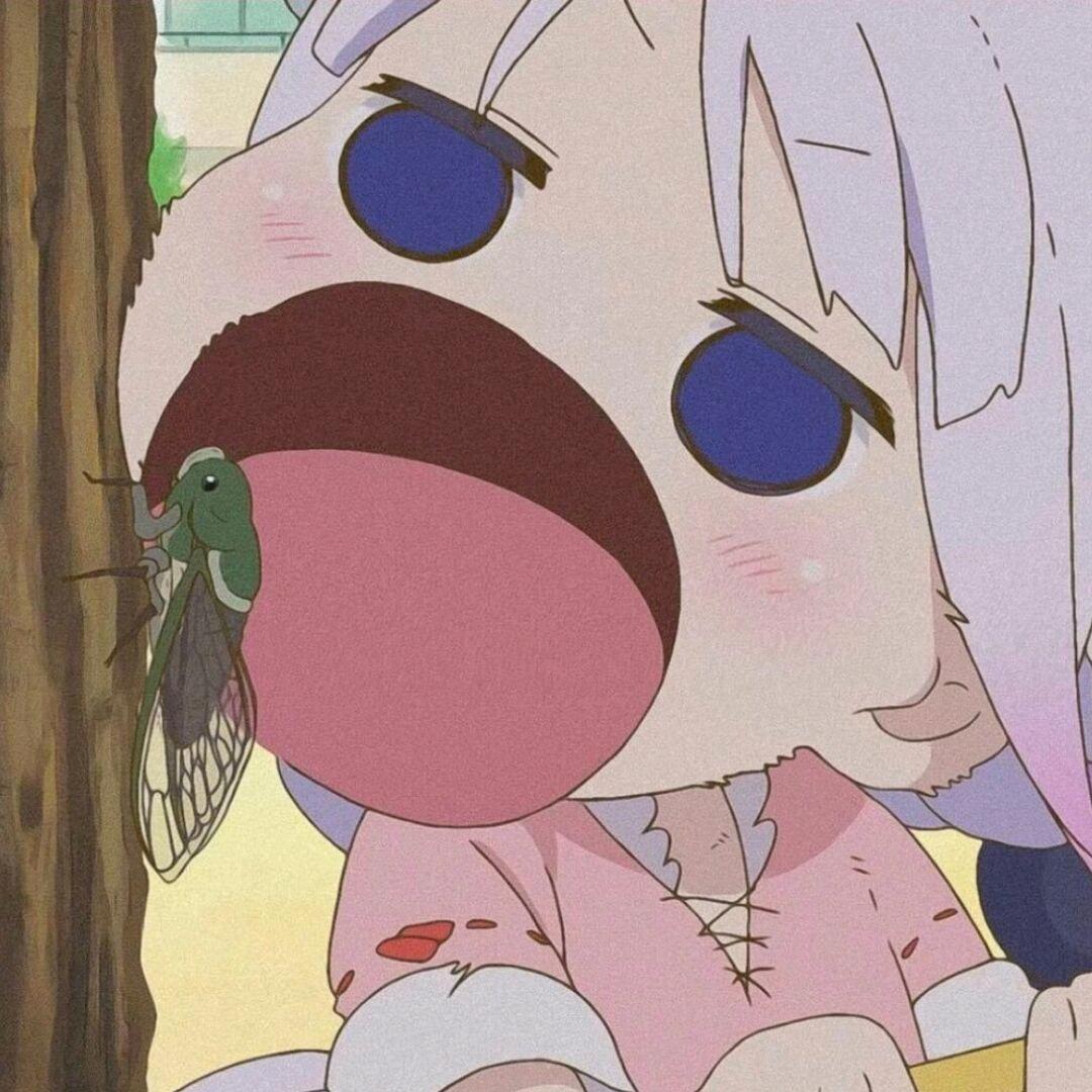 清禾大王