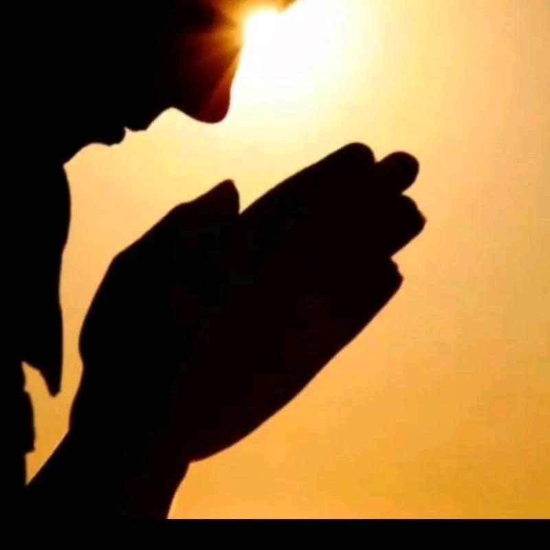 随风，入梦☺️