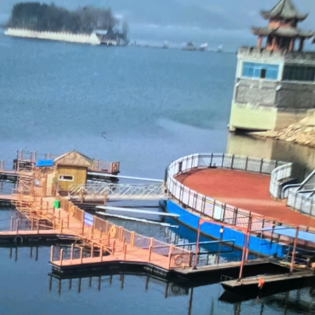华仔.
