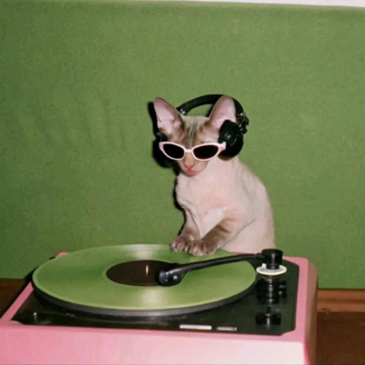 嘴巴很长的短吻鳄