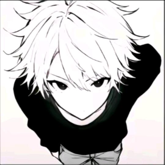 曲线（增肌版）