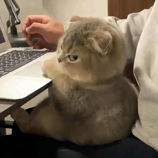 。 ᅠ        ‍  ᅠ