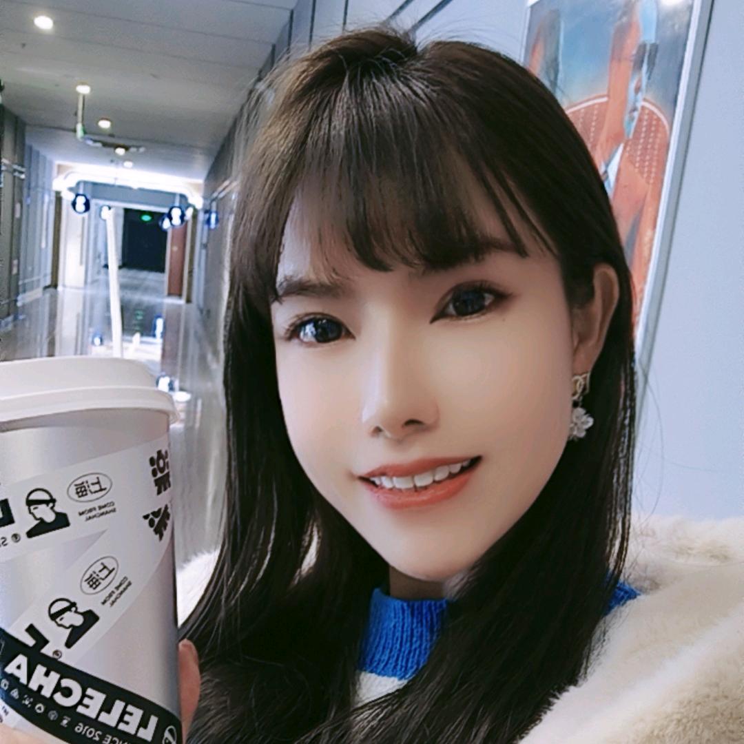 英英中越导游，临时翻译