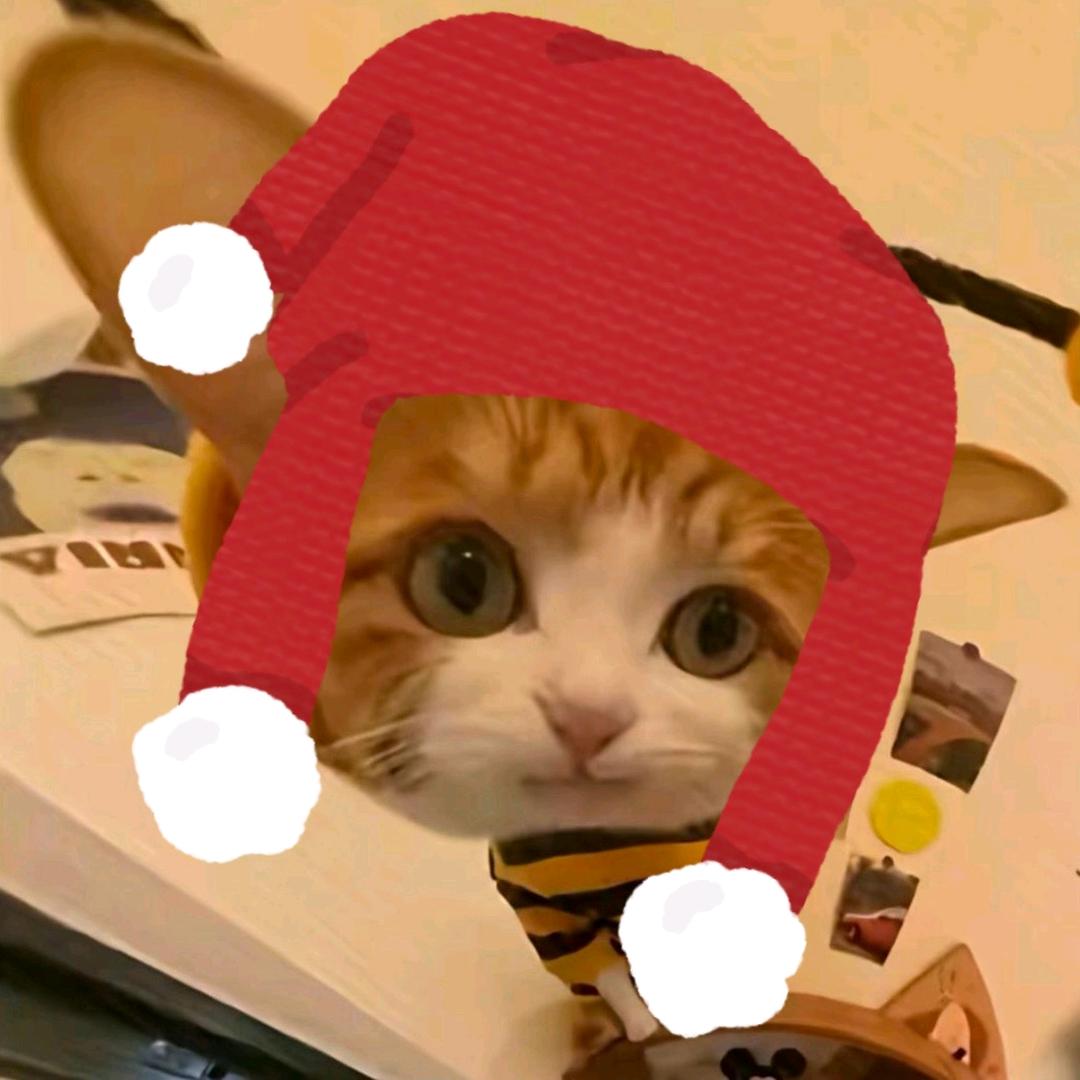 好远都要在一起