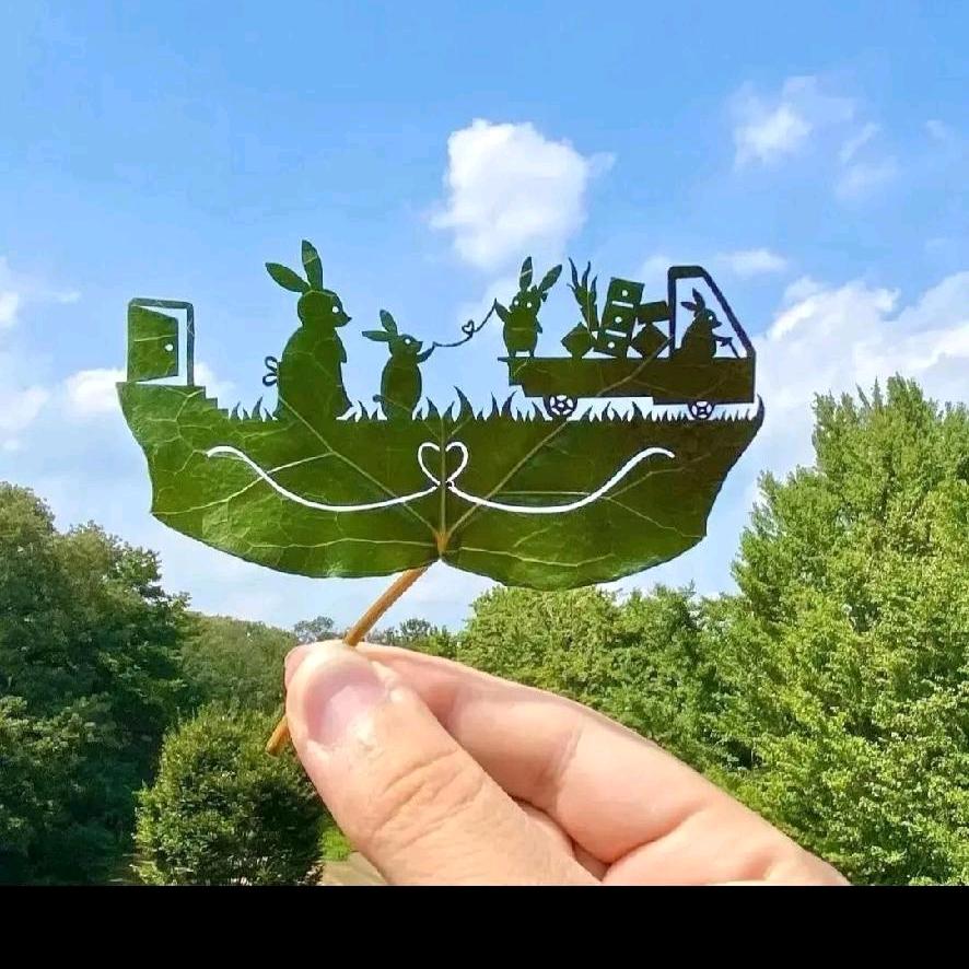 梦想在飞翔