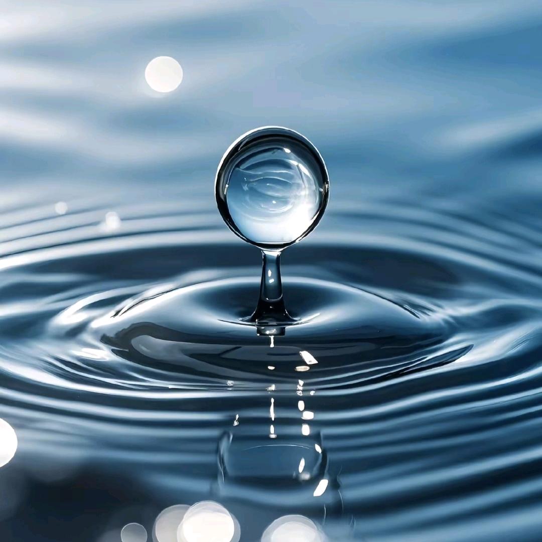 未来我造的·平