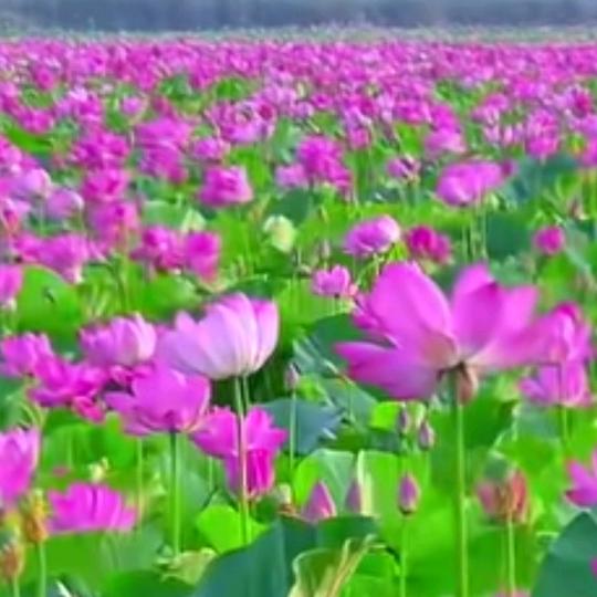 快乐与年龄无关