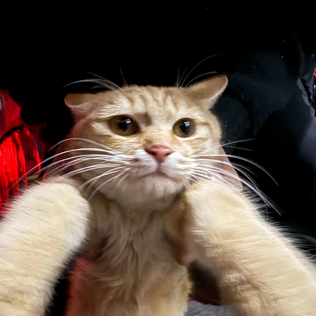 ￴ ￴￴ ￴ ￴￴￴￴￴￴ ￴￴￴ ￴