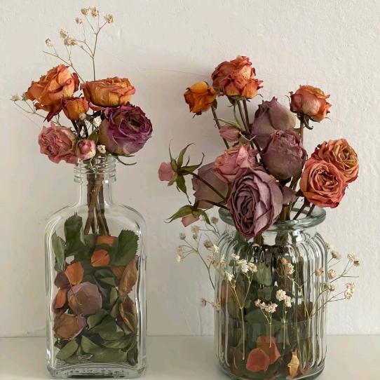 要一个清澈的未来