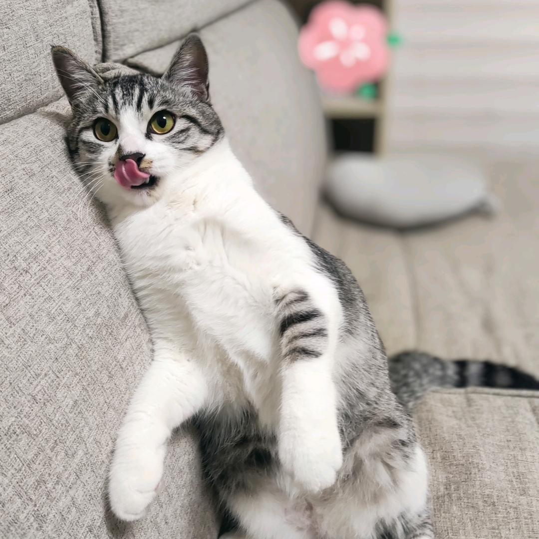 川味咪