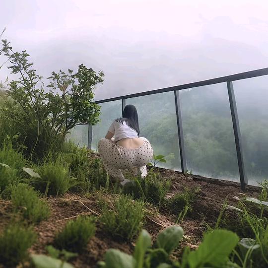 妻妻