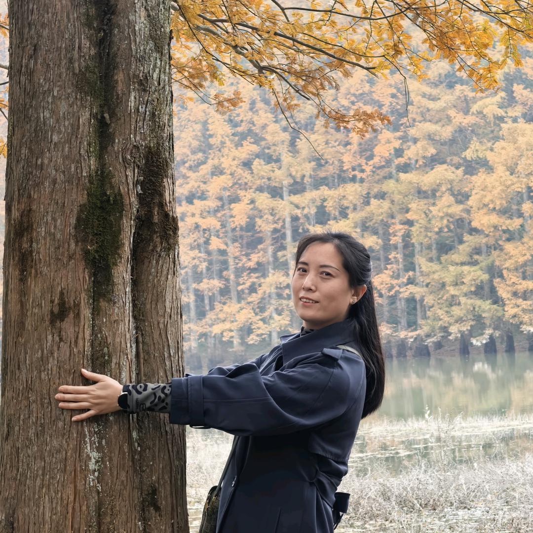 🍁绿叶伞兰🍁