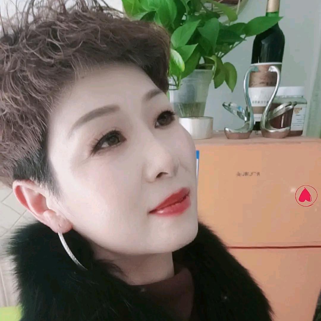 傲雪藏梅