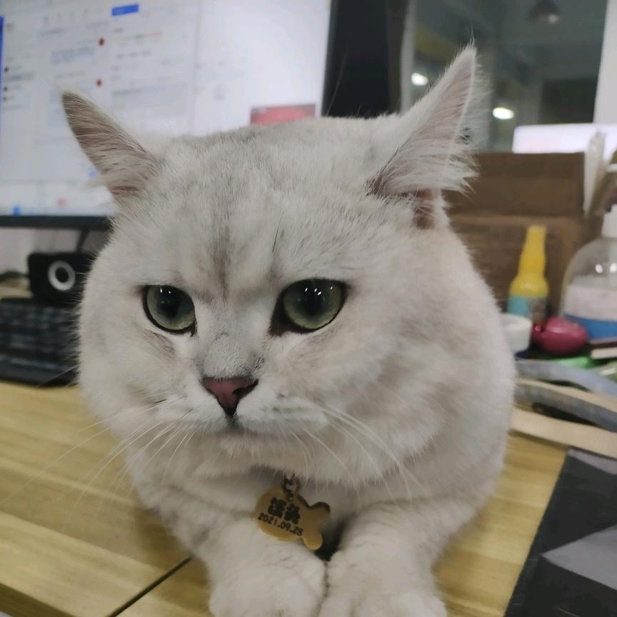 京师本草供应链