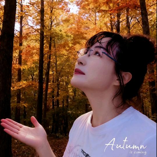 优雅(海阳留格网纹瓜)