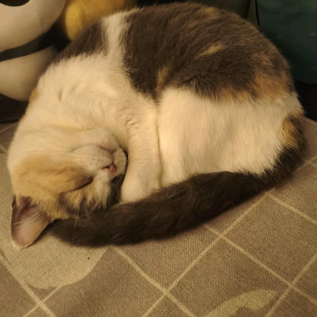 wtyui