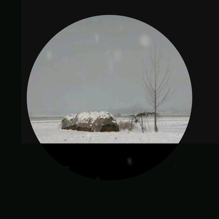 自渡人生