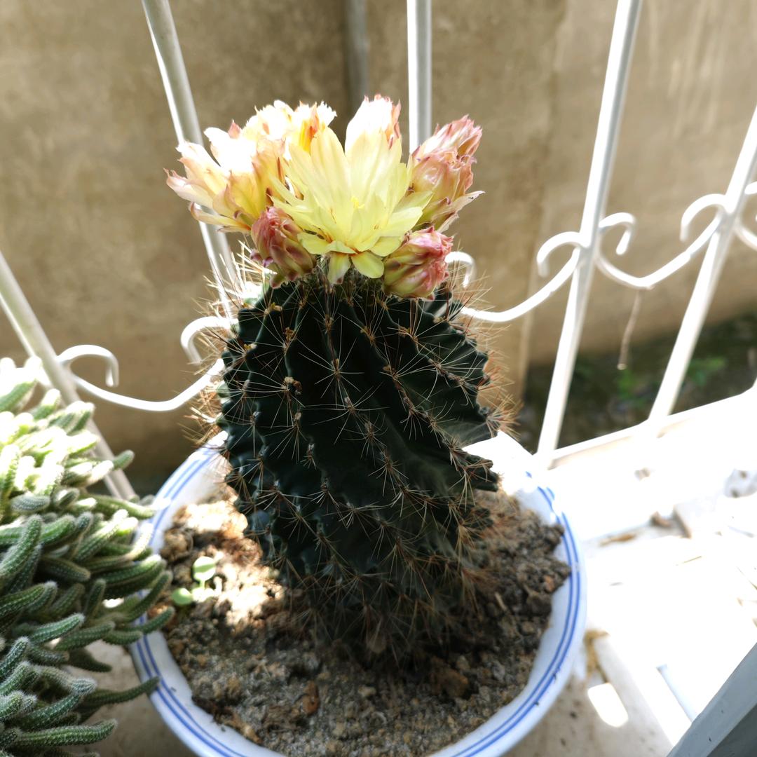牵挂