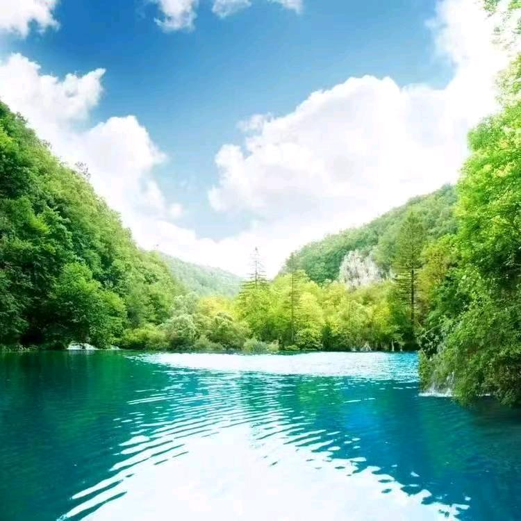 阿卜杜拉·萨伍提（3.12）