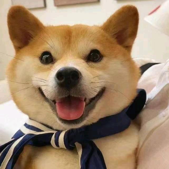 土二狗