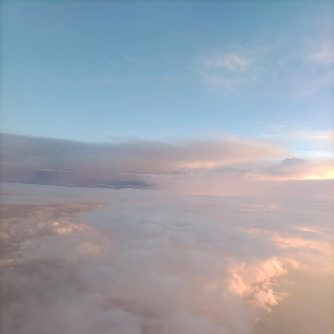 一鸣