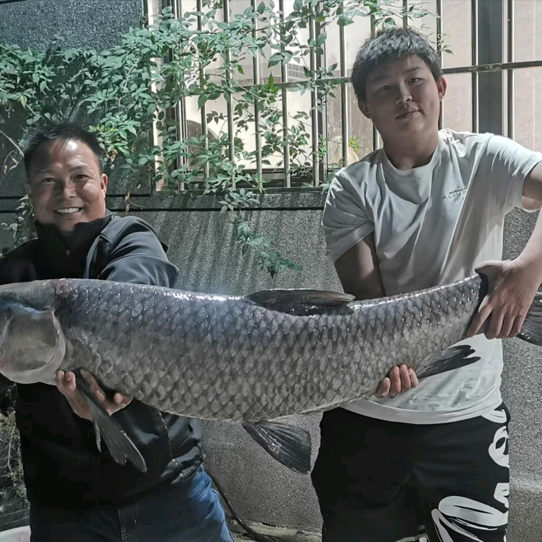万峰聚缘